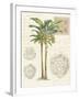 Vintage Palm Study I-Hugo Wild-Framed Art Print