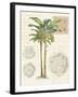 Vintage Palm Study I-Hugo Wild-Framed Art Print