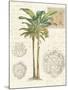 Vintage Palm Study I-Hugo Wild-Mounted Art Print