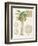 Vintage Palm Study I-Hugo Wild-Framed Art Print