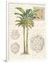 Vintage Palm Study I-Hugo Wild-Framed Art Print