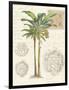 Vintage Palm Study I-Hugo Wild-Framed Art Print