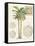 Vintage Palm Study I-Hugo Wild-Framed Stretched Canvas