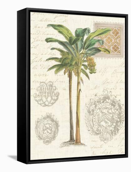 Vintage Palm Study I-Hugo Wild-Framed Stretched Canvas