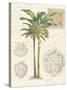 Vintage Palm Study I-Hugo Wild-Stretched Canvas