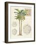 Vintage Palm Study I-Hugo Wild-Framed Art Print