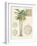 Vintage Palm Study I-Hugo Wild-Framed Art Print