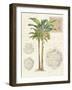 Vintage Palm Study I-Hugo Wild-Framed Premium Giclee Print