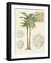 Vintage Palm Study I-Hugo Wild-Framed Premium Giclee Print