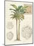 Vintage Palm Study I-Hugo Wild-Mounted Premium Giclee Print