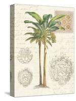 Vintage Palm Study I-Hugo Wild-Stretched Canvas