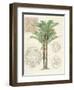 Vintage Palm Study II-Hugo Wild-Framed Art Print