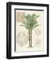 Vintage Palm Study II-Hugo Wild-Framed Art Print