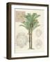 Vintage Palm Study II-Hugo Wild-Framed Premium Giclee Print