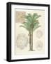 Vintage Palm Study II-Hugo Wild-Framed Premium Giclee Print