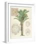 Vintage Palm Study II-Hugo Wild-Framed Premium Giclee Print