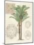 Vintage Palm Study II-Hugo Wild-Mounted Premium Giclee Print