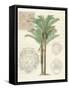 Vintage Palm Study II-Hugo Wild-Framed Stretched Canvas