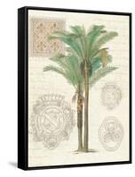 Vintage Palm Study II-Hugo Wild-Framed Stretched Canvas