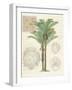 Vintage Palm Study II-Hugo Wild-Framed Art Print