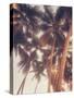 Vintage Palms-Acosta-Stretched Canvas