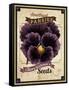 Vintage Pansies Seed Packet-null-Framed Stretched Canvas