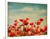 Vintage Paper Textures - Field of Poppies-A_nella-Framed Art Print