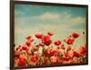 Vintage Paper Textures - Field of Poppies-A_nella-Framed Art Print