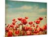 Vintage Paper Textures - Field of Poppies-A_nella-Mounted Art Print
