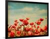 Vintage Paper Textures - Field of Poppies-A_nella-Framed Art Print