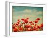 Vintage Paper Textures - Field of Poppies-A_nella-Framed Art Print