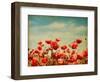 Vintage Paper Textures - Field of Poppies-A_nella-Framed Art Print