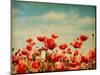 Vintage Paper Textures - Field of Poppies-A_nella-Mounted Art Print