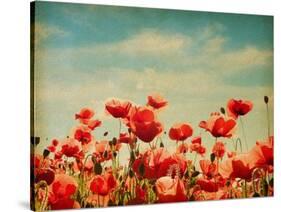 Vintage Paper Textures - Field of Poppies-A_nella-Stretched Canvas