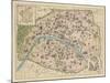 Vintage Paris Map-The Vintage Collection-Mounted Giclee Print