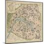 Vintage Paris Map-The Vintage Collection-Mounted Art Print