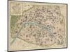 Vintage Paris Map-The Vintage Collection-Mounted Art Print