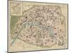 Vintage Paris Map-The Vintage Collection-Mounted Art Print