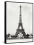 Vintage Paris VI-N. Harbick-Framed Stretched Canvas