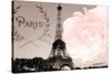 Vintage Paris-Emily Navas-Stretched Canvas