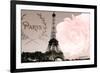 Vintage Paris-Emily Navas-Framed Photographic Print