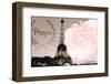 Vintage Paris-Emily Navas-Framed Photographic Print