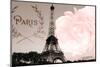 Vintage Paris-Emily Navas-Mounted Photographic Print