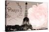 Vintage Paris-Emily Navas-Stretched Canvas