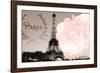 Vintage Paris-Emily Navas-Framed Photographic Print