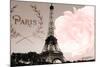 Vintage Paris-Emily Navas-Mounted Photographic Print