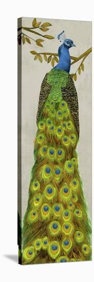 Vintage Peacock I-Melissa Wang-Stretched Canvas