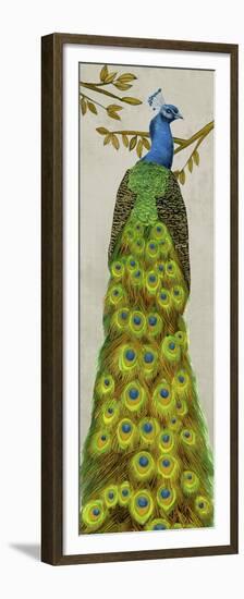Vintage Peacock I-Melissa Wang-Framed Premium Giclee Print