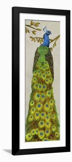 Vintage Peacock I-Melissa Wang-Framed Premium Giclee Print