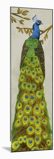 Vintage Peacock I-Melissa Wang-Mounted Premium Giclee Print